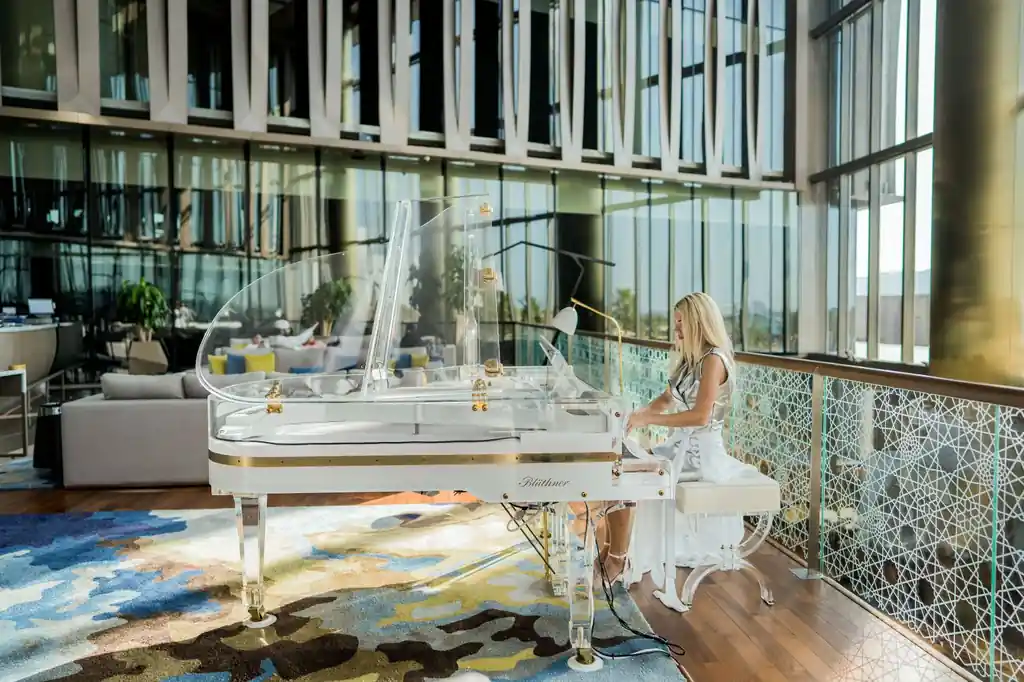 Elegant live music performance